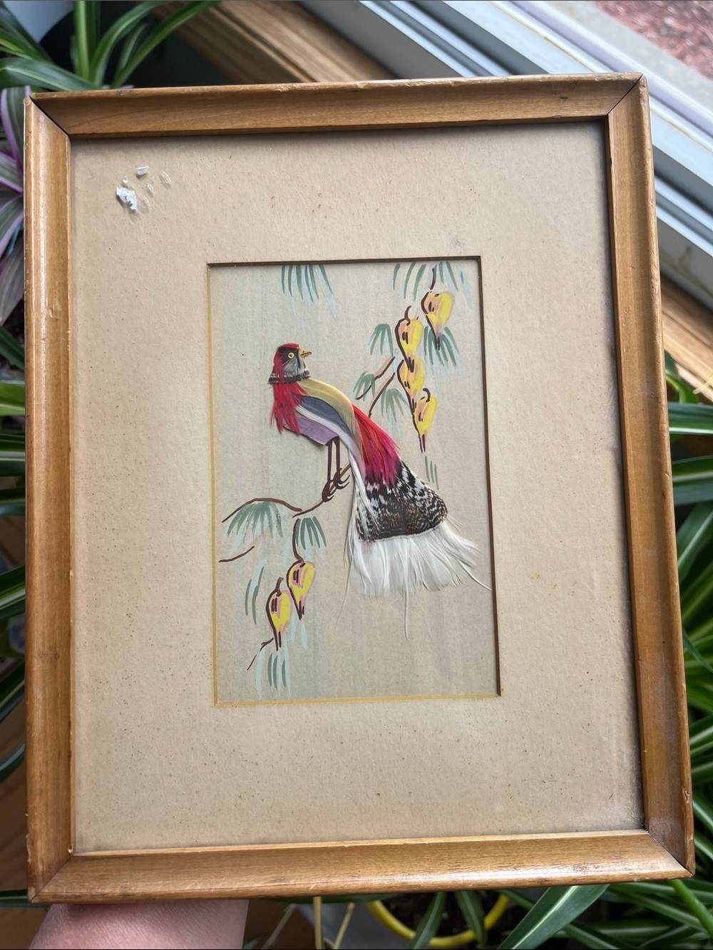 Vtg Mexican Folk Art Feathers/Hand Painted Bird On Limb Framed *READ*